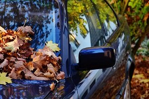 Fall Auto Maintenance in Alexandria and Annandale, VA